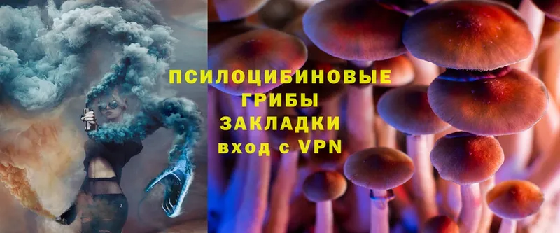 Галлюциногенные грибы MAGIC MUSHROOMS  продажа наркотиков  Бирск 